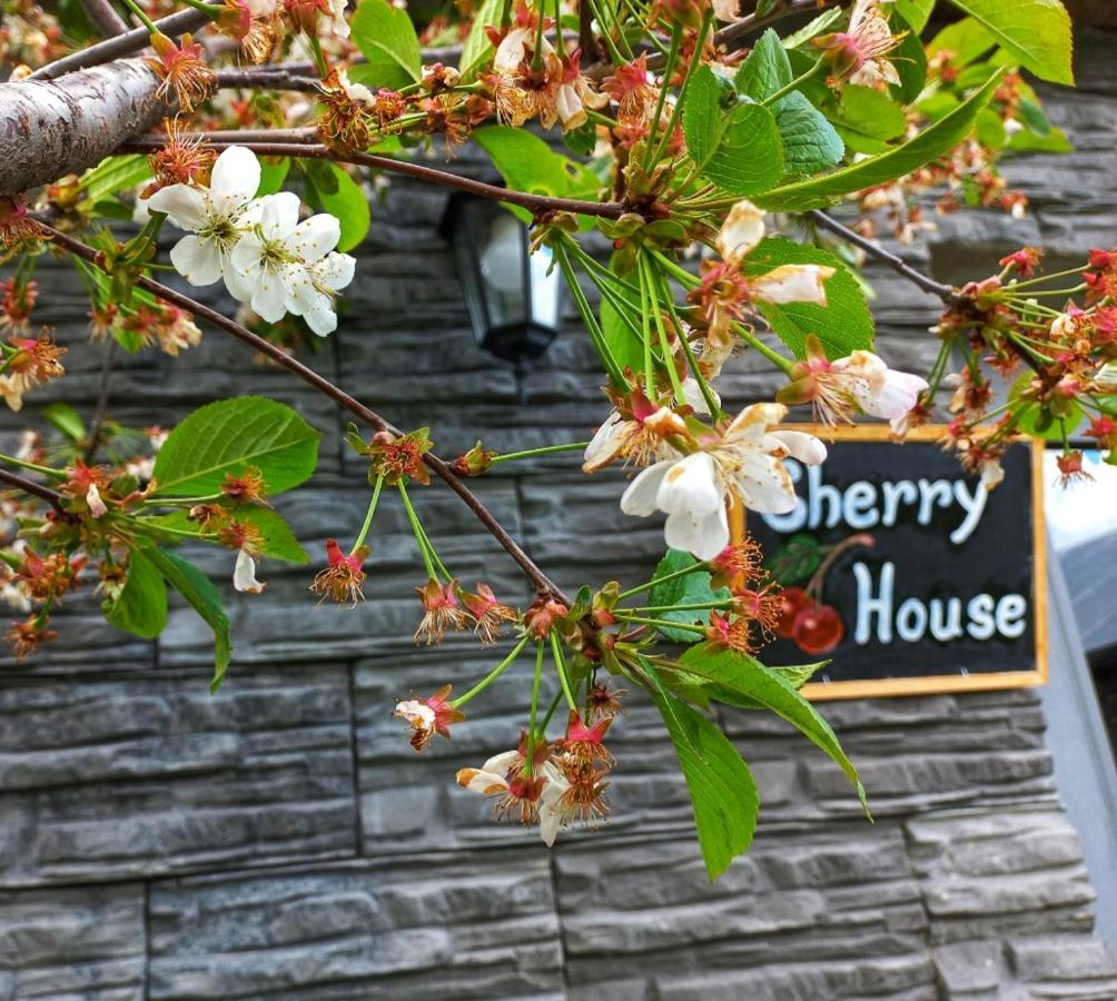 Cherry House Kazbegi Bagian luar foto