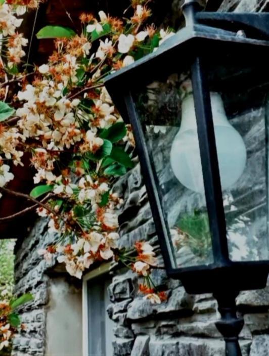 Cherry House Kazbegi Bagian luar foto